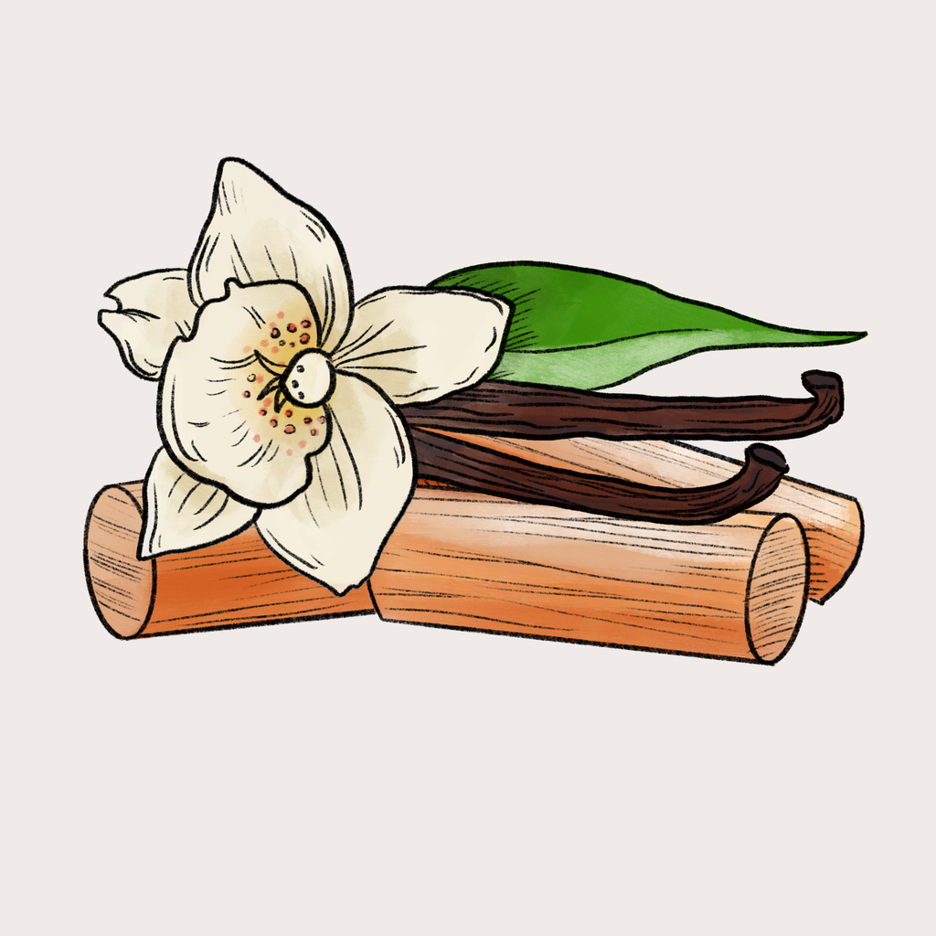 Sandalwood & Vanilla Soy Candle: Small